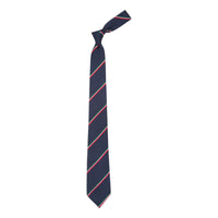 Silk Repp Tie Navy/Red/White/Green Stripe - Tie