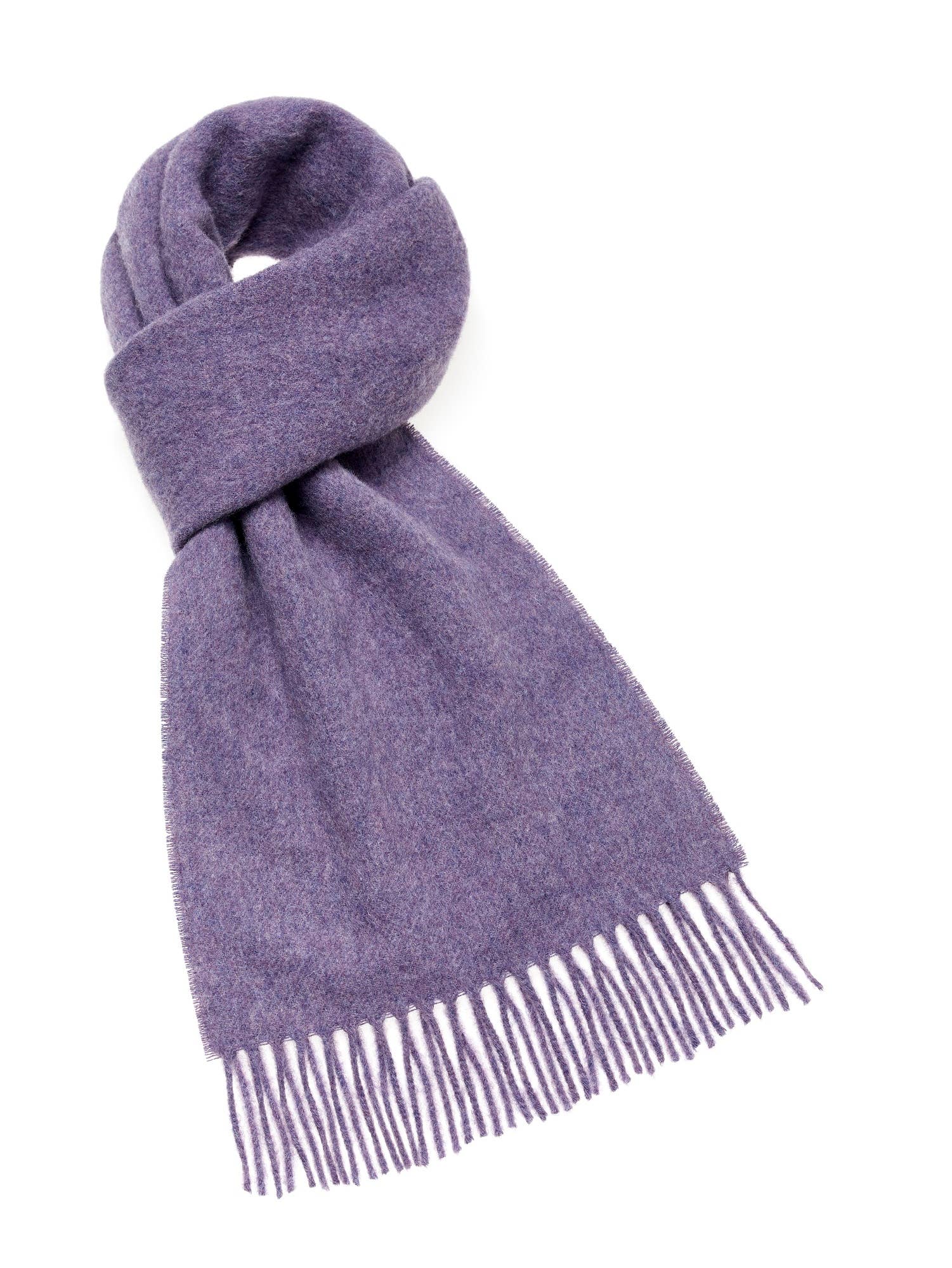 Bronte Moon - Plain Luxury Scarf - 100% Merino Lambswool