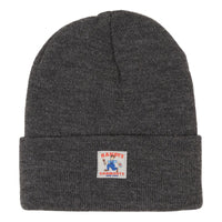 3M Thinsulate™ Cuff Beanie Grey - Hat