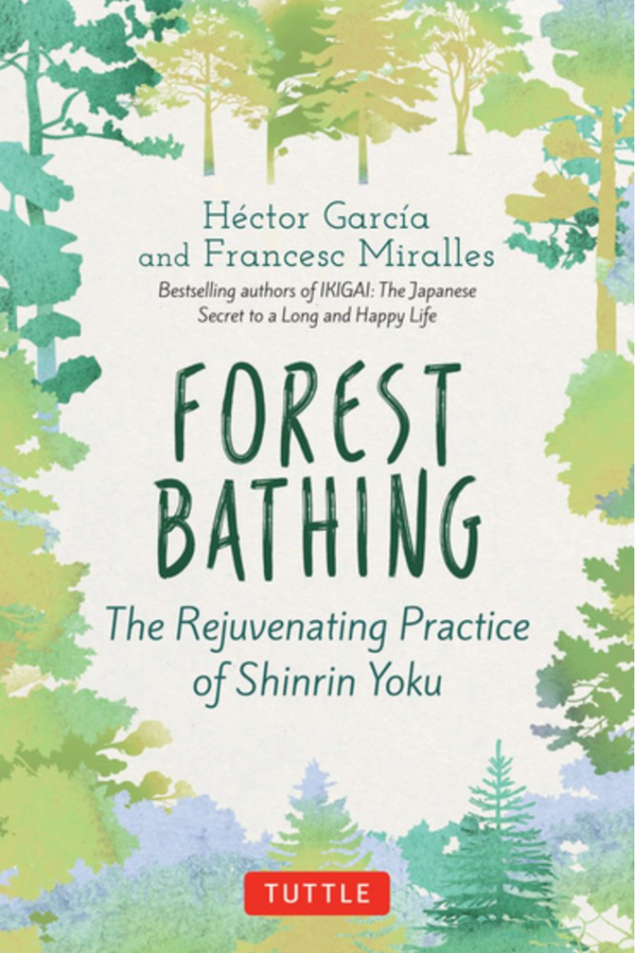Forest Bathing: The Rejuvenating Practice of Shinrin Yoku -