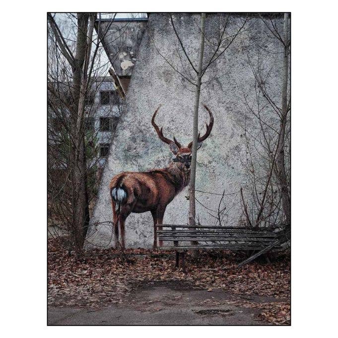 Off-Grid Adventures - Books