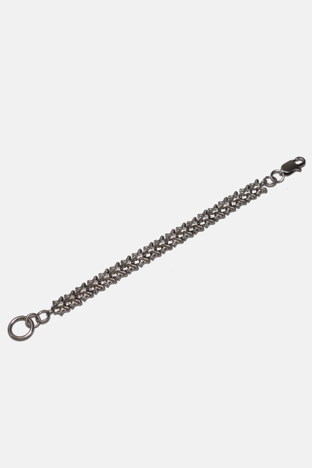 Curated Basics - Vertebrate Chain Bracelet: Brass