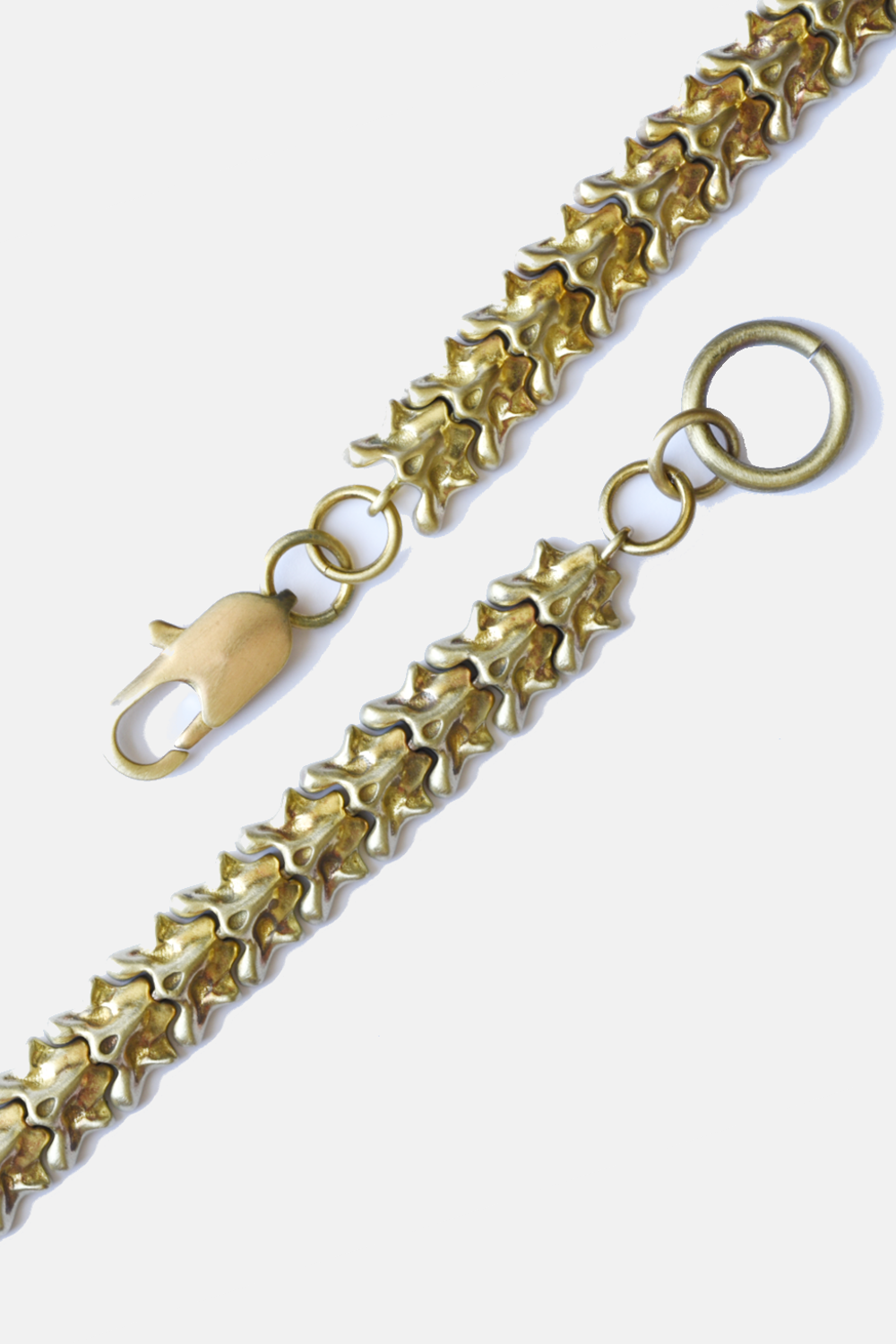 Curated Basics - Vertebrate Chain Bracelet: Brass