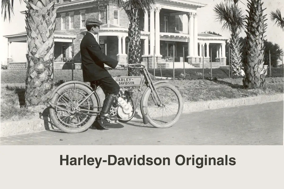 Vintage black-and-white harley-davidson motorcycle with classic frame and spoked wheels.